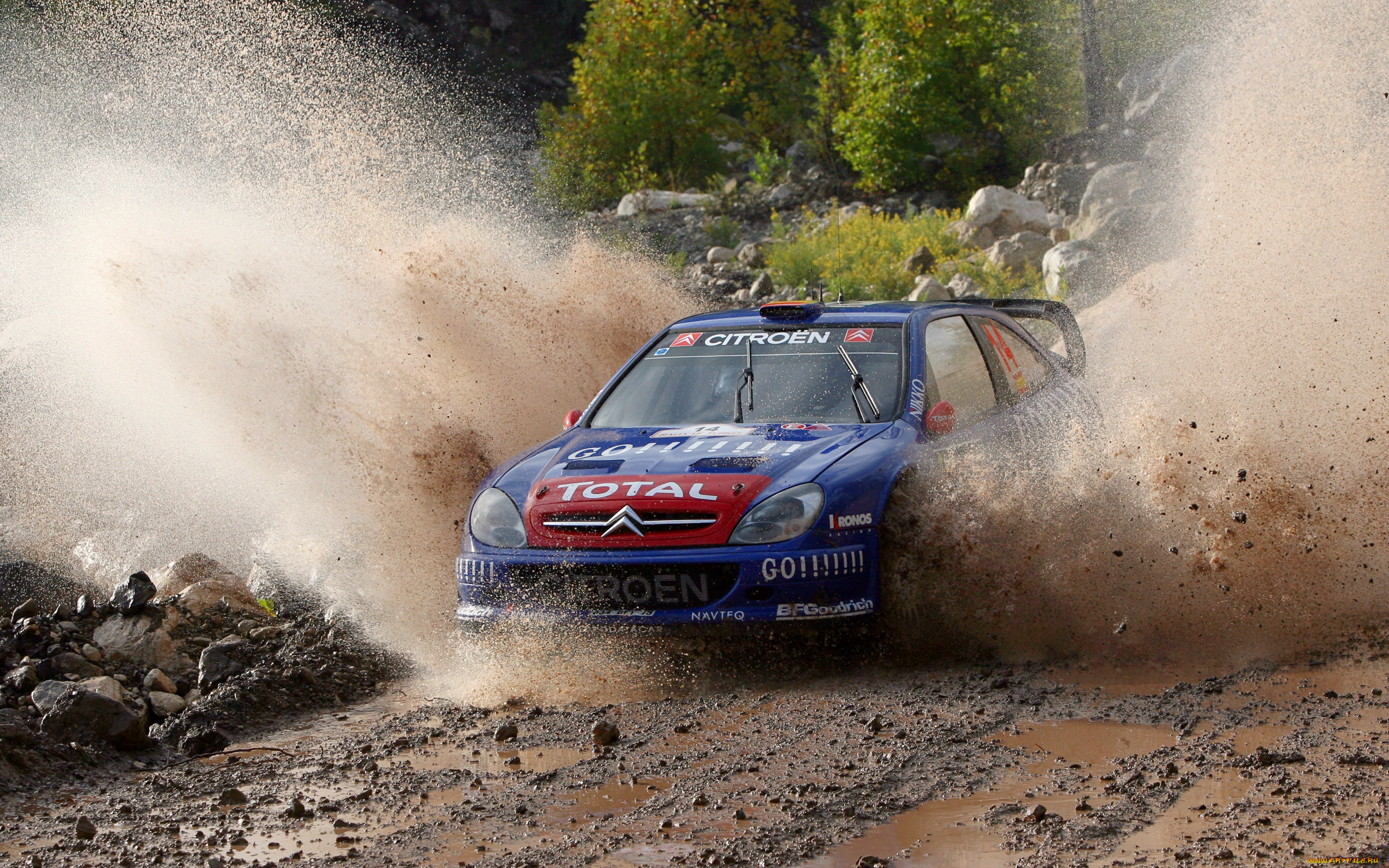, , citroen